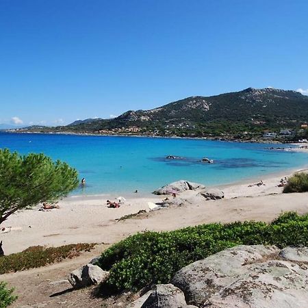 L'Orangeraie Calvi Centre A 300M De La Plage Et Du Port Parking Prive Экстерьер фото