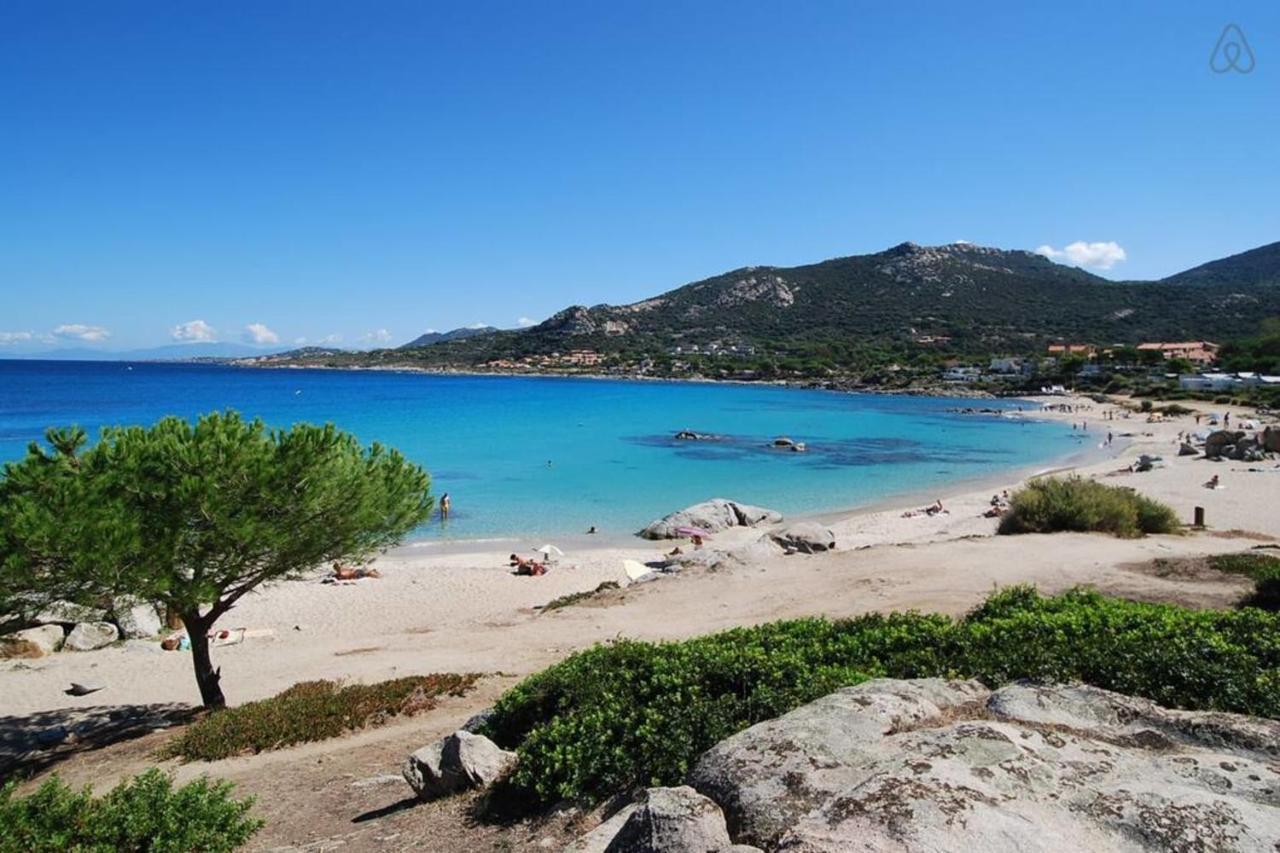 L'Orangeraie Calvi Centre A 300M De La Plage Et Du Port Parking Prive Экстерьер фото